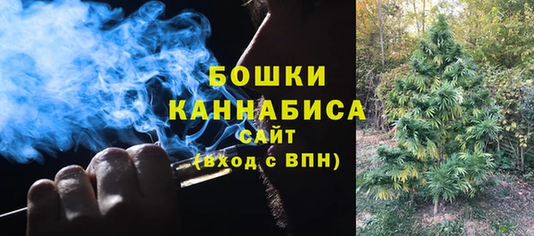 МДПВ Нязепетровск