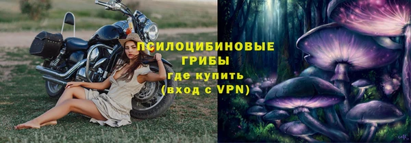 МДПВ Нязепетровск