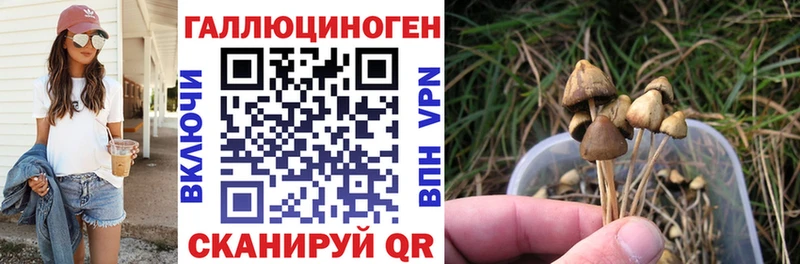 Галлюциногенные грибы мицелий  Балабаново 