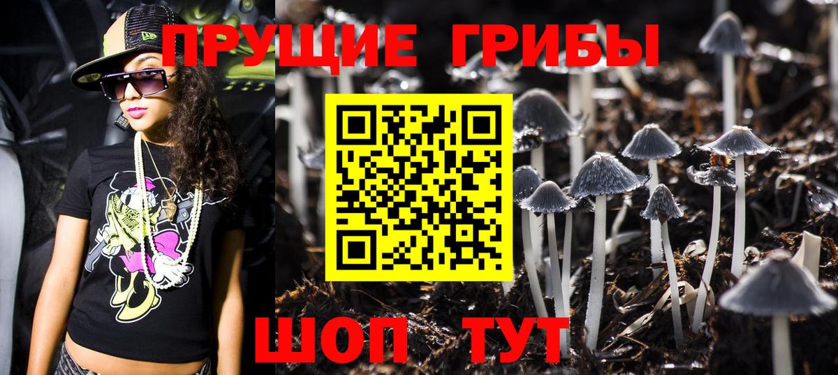 Галлюциногенные грибы Psilocybine cubensis Балабаново