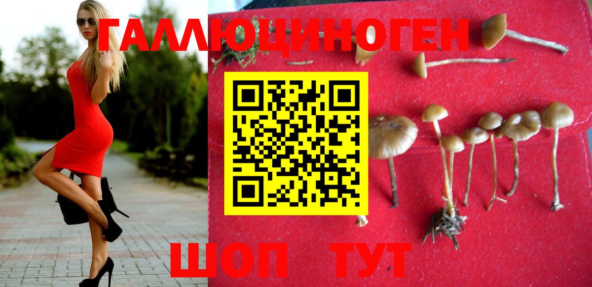 Псилоцибиновые грибы прущие грибы  Псилоцибиновые грибы Cubensis  Балабаново 