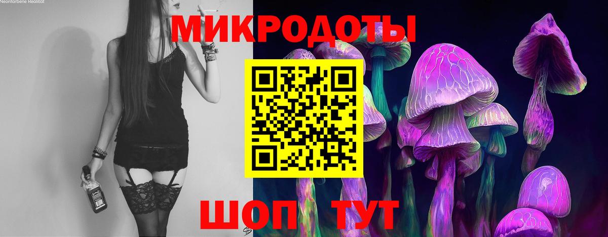 Галлюциногенные грибы Psilocybine cubensis  Вход с VPN  Балабаново 